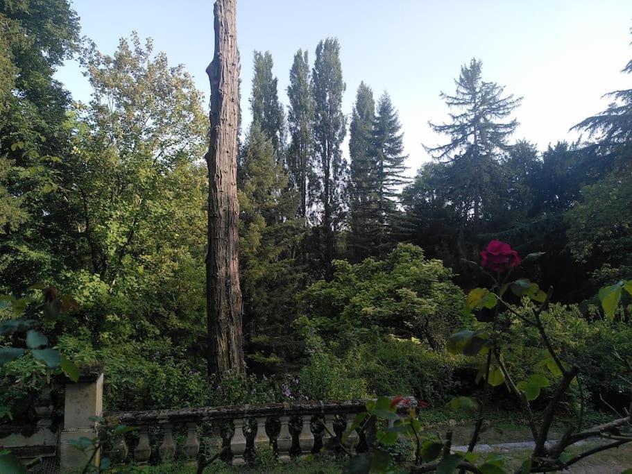 Magnifiques Ecuries Juste Renovees - Domaine De La Mulotiere Villa Langeais Exterior photo